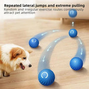 Smart Interactive Pet Toy Ball - Sentipet