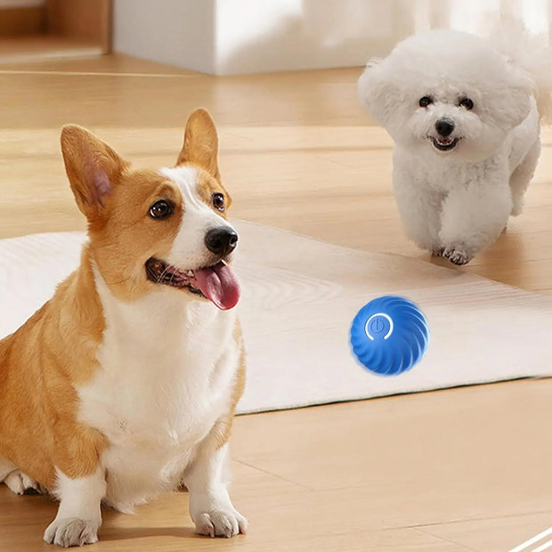 Smart Interactive Pet Toy Ball - Sentipet
